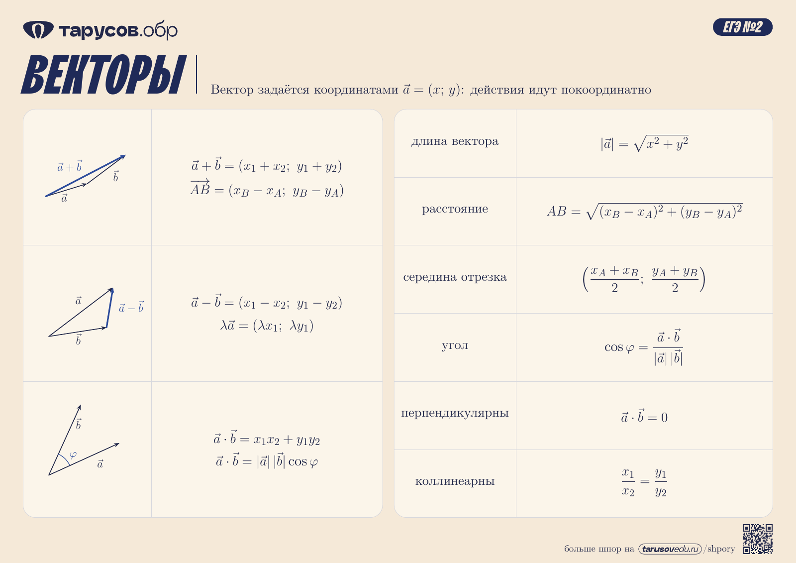 ВЕКТОРЫ